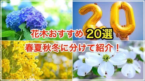 花木|花木おすすめ20種類 【早春